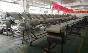 海參捕撈季將至，海參重量大小自動(dòng)分級(jí)秤正緊密備貨中