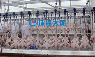 重量分揀設(shè)備如何實現(xiàn)整雞分選？