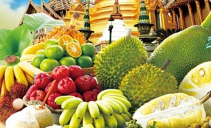 探索水果分揀機如何通過自動化技術(shù)在果園、加工廠、保鮮庫及零售環(huán)節(jié)提高生產(chǎn)效率，降低成本，并確保水果品質(zhì)滿足市場需求。