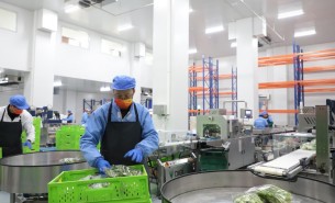 蔬菜配重機(jī)：解決人工成本與效率問(wèn)題，助力蔬菜加工發(fā)展