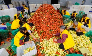 自動化分揀稱重設(shè)備：助力生鮮、凍貨及食品加工行業(yè)突破瓶頸