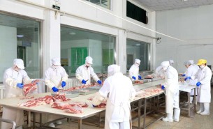 探索自動(dòng)檢重秤在羊肉及多種肉類重量分選中的創(chuàng)新應(yīng)用