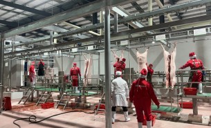 解析自動(dòng)檢重秤組合多頭秤在豬肉及小重量產(chǎn)品中的創(chuàng)新應(yīng)用