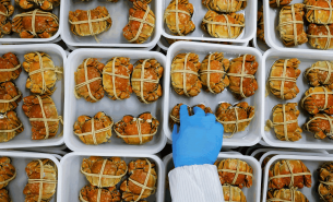 探索青蟹重量分選機(jī)如何實(shí)現(xiàn)青蟹精準(zhǔn)重量分選及產(chǎn)業(yè)價(jià)值