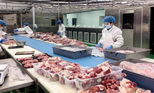 珠海大航 - 肉類目標(biāo)自動(dòng)配重機(jī)，精準(zhǔn)配重解決方案