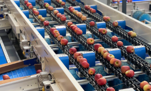 珠海大航 - 重量分選機(jī)匹配產(chǎn)線需求與產(chǎn)品保護(hù)方案