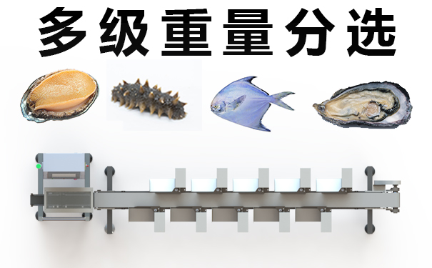 水產藥材分揀設備