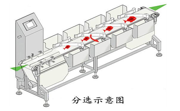 1639357759719577.png 圖片4.png